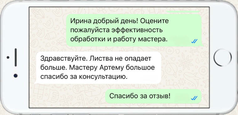 комплексная обработка сада - фото №22
